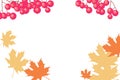 Autumn background Royalty Free Stock Photo